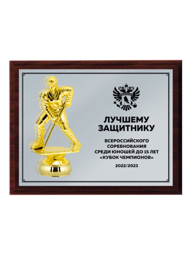 Плакетка подарочная - PL234-Z